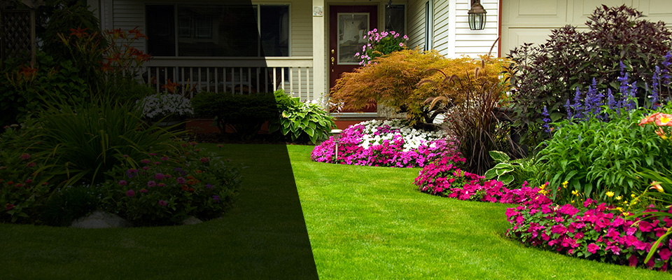 Lake Jackson Landscapers